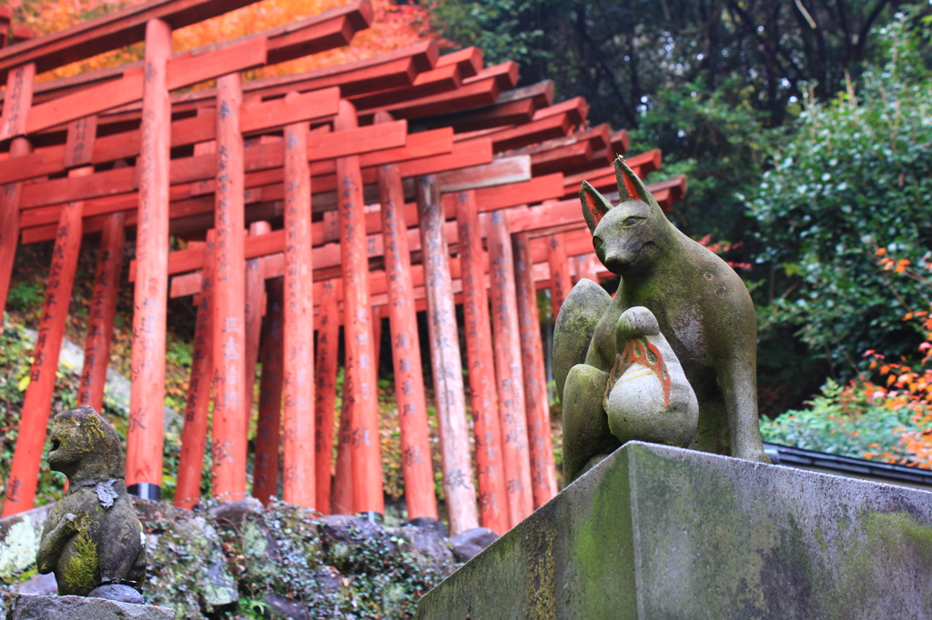 祐徳稲荷神社にて