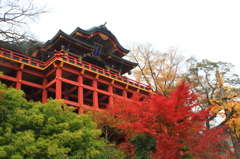 祐徳稲荷神社　（雨のちくもり）