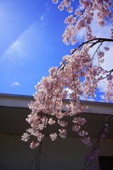 DSC01414