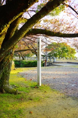 世界平和