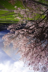 DSC01476
