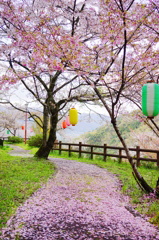 DSC01598