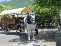 辻馬車