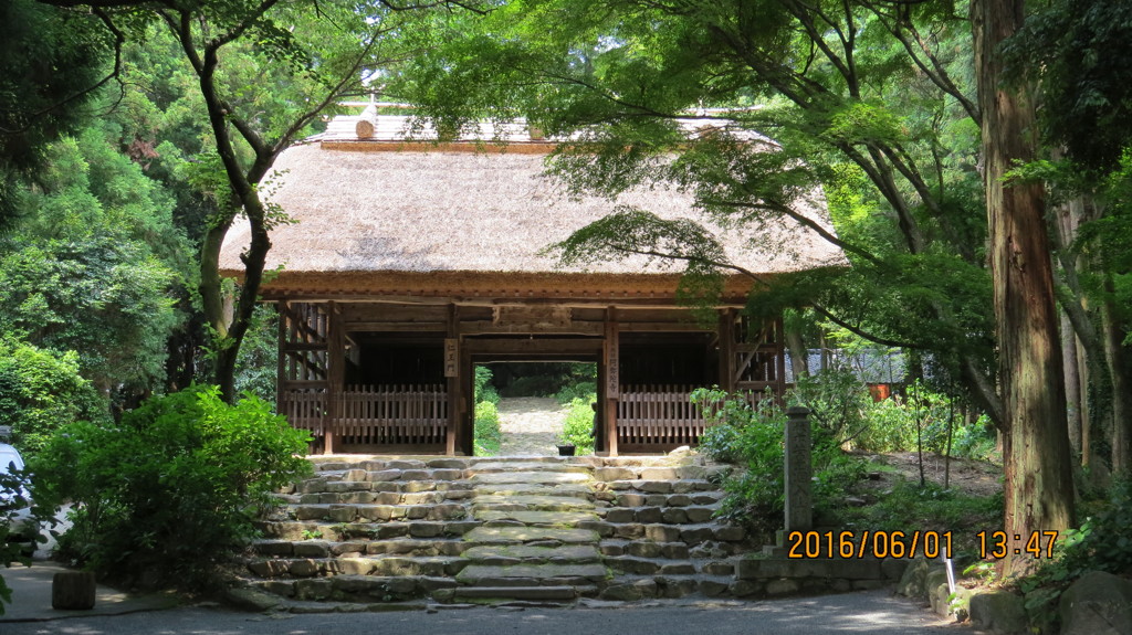 阿弥陀寺