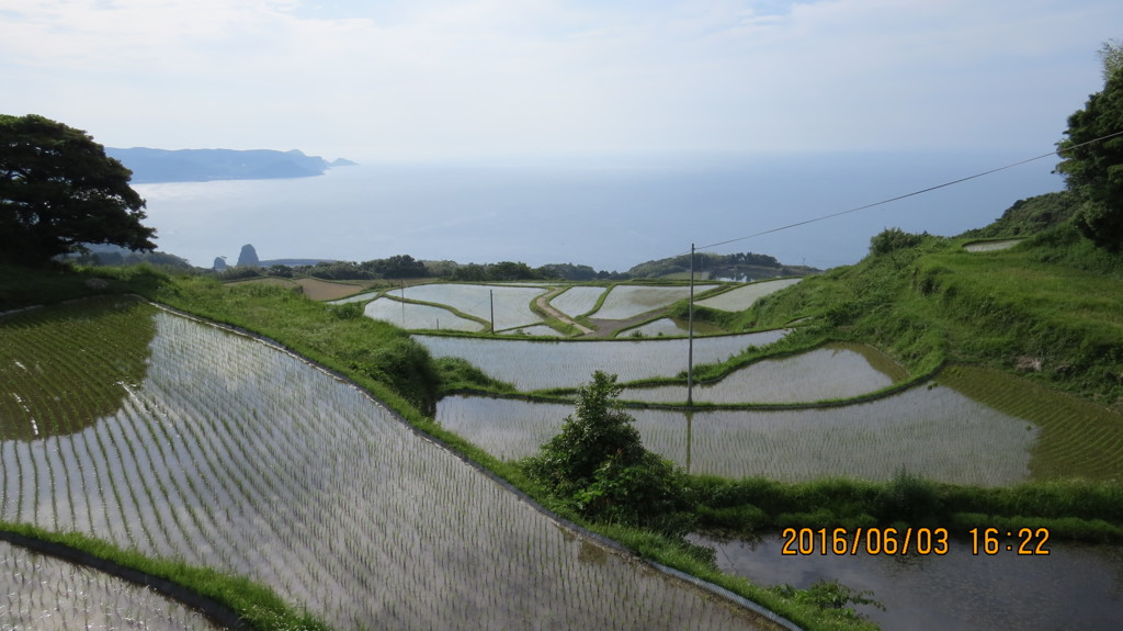 東後畑棚田