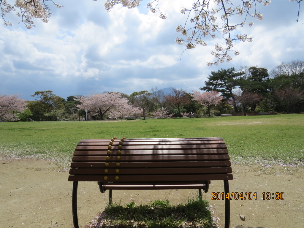 春のベンチ