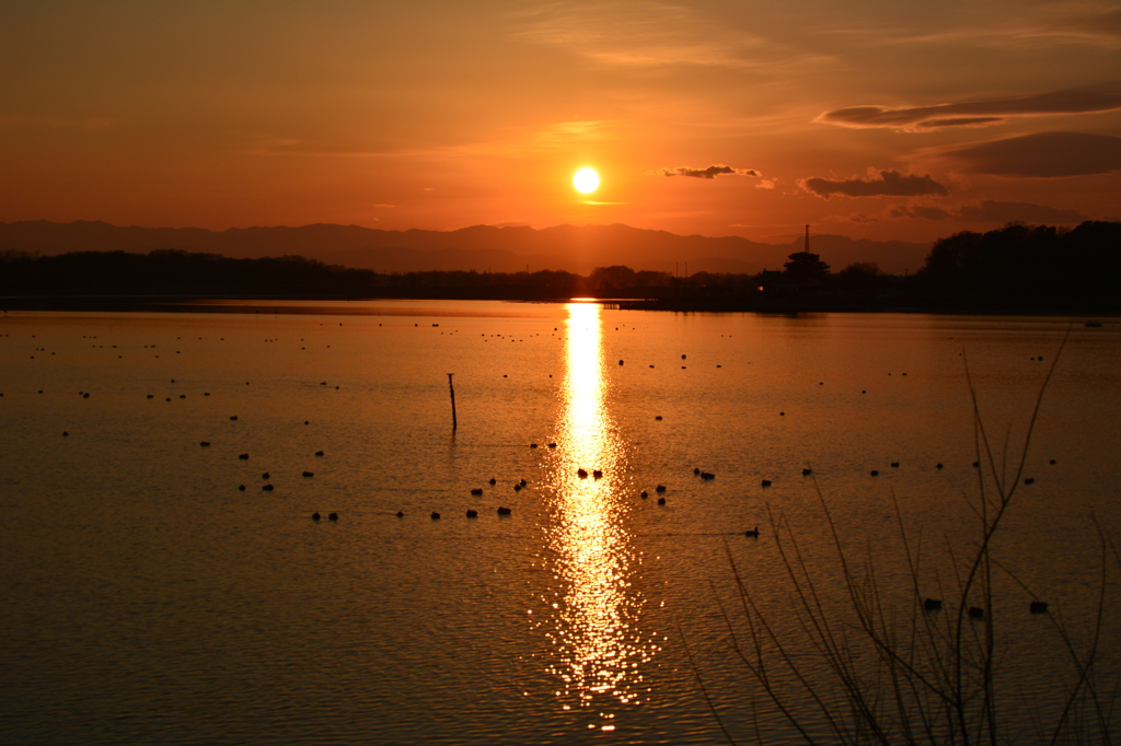 多々良沼から見た夕日