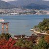650円の景色２