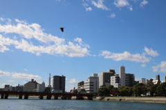 何の変哲もない街並み