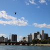 何の変哲もない街並み