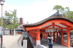 厳島神社からの五重塔３