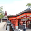 厳島神社からの五重塔３