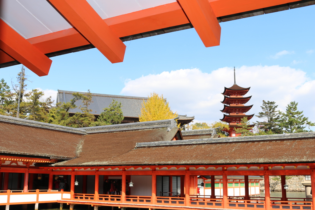 厳島神社からの五重塔１