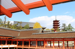 厳島神社からの五重塔１