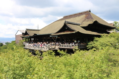 緑に浮かぶ清水寺