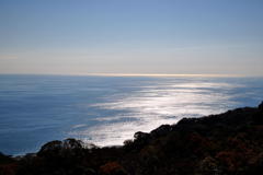 駿河湾