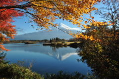 紅葉と富士山です