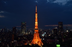 東京タワー５月１７日