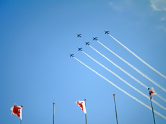 BlueImpulse