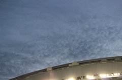 サッカー観戦？
