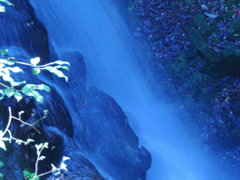 blue fall