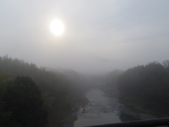 霧中
