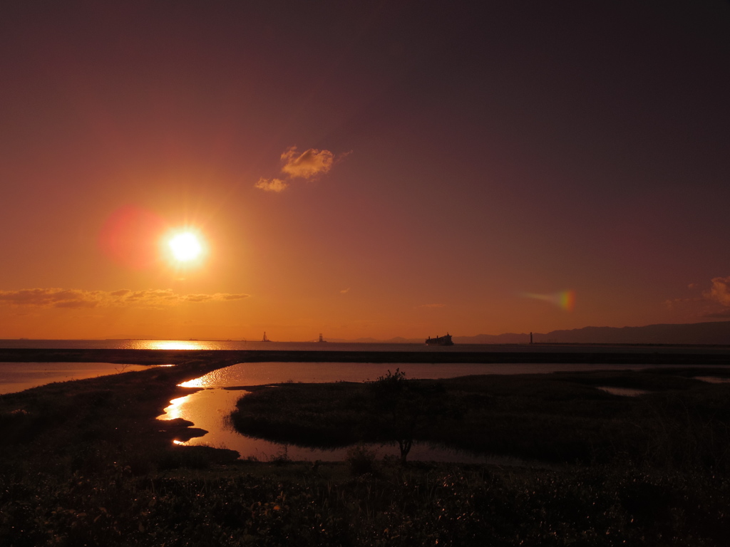 夕焼けの干潟