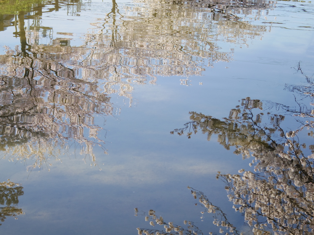 水鏡