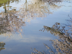 水鏡