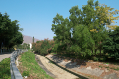 P1030459