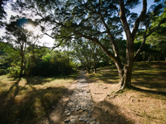 P1020834