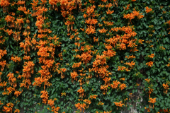 P1030436