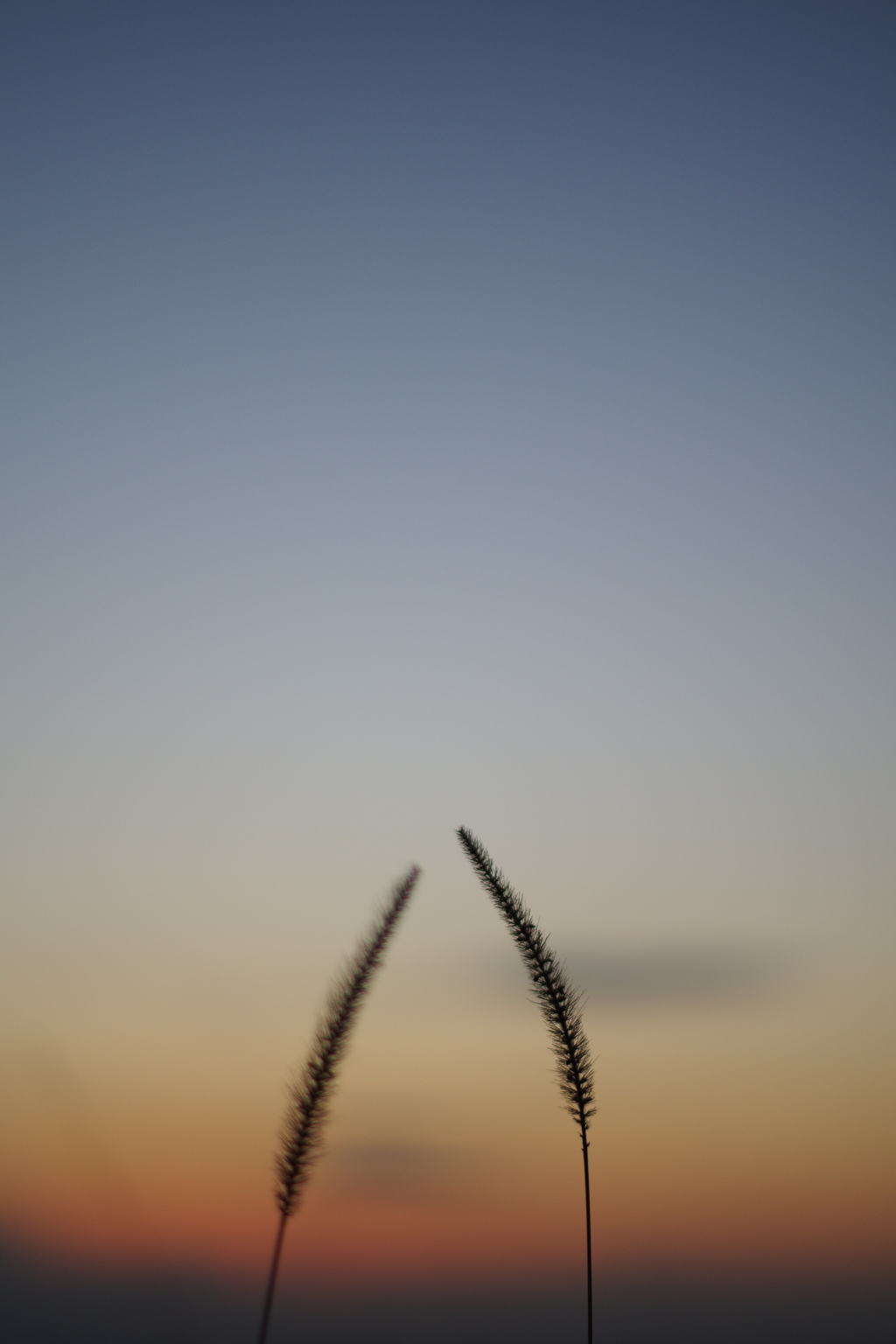 秋の夕暮れ