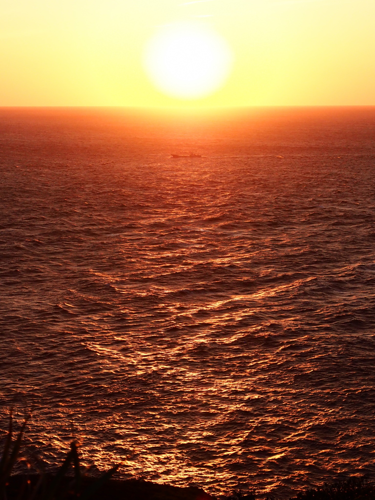夕日