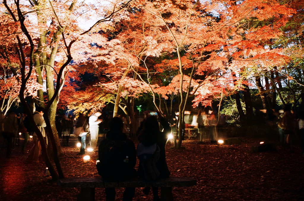 紅葉狩り