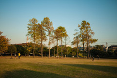 野球少年