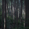 熊野古道　馬越峠・・・その４