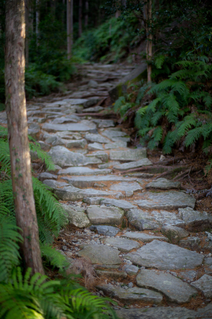 熊野古道　馬越峠・・・その１