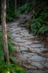 熊野古道　馬越峠・・・その１