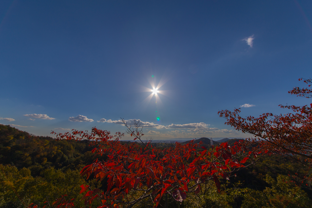 犬山・寂光院・・・３