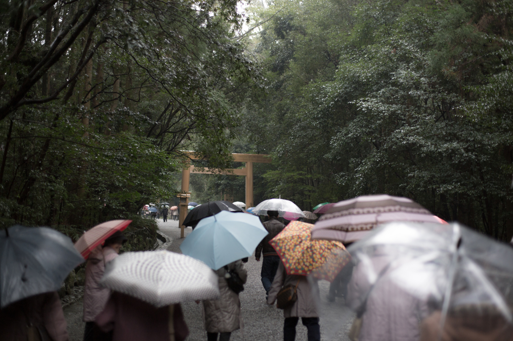 伊勢神宮に花が咲く。
