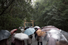 伊勢神宮に花が咲く。