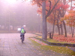 朝霧の中を