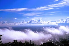 雲海　その参