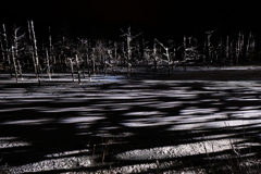 シルエット シルエット