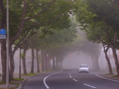 霧のロマンチック街道