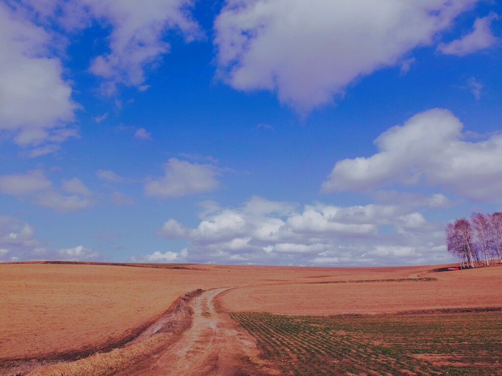 大地