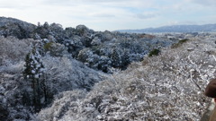 清水からの雪景色