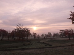 早くもマイナス0.5度の世界