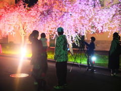 パパ ママ きれい パパ ママ きれい